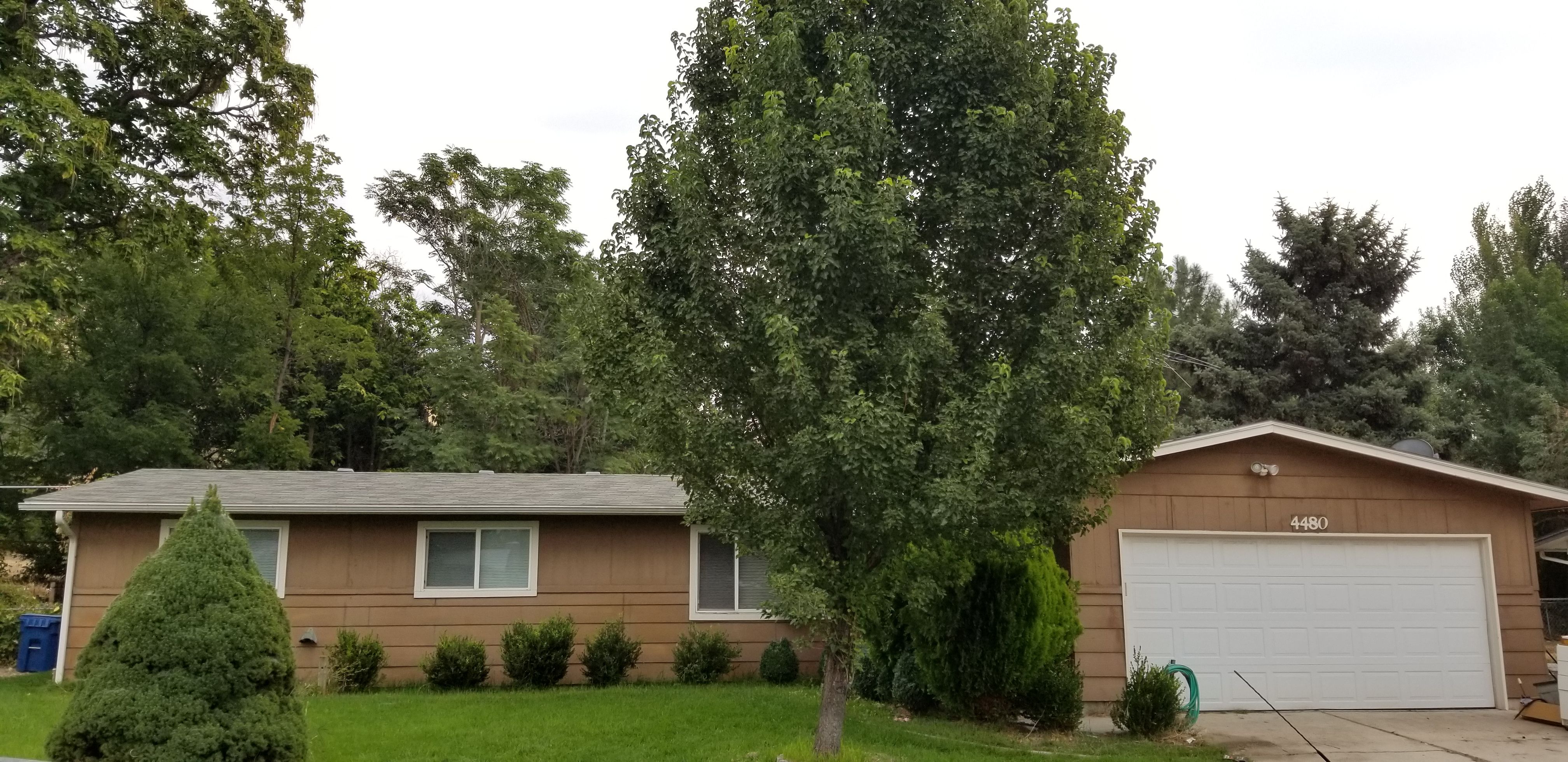 Home Summit Auctions